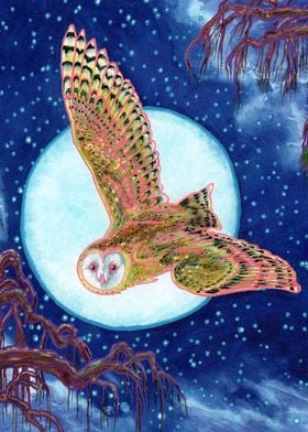 Barn Owl Flying Full Moon