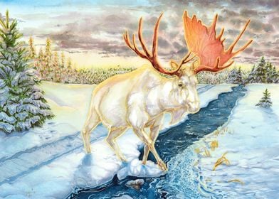 Red Antlers Albino Moose