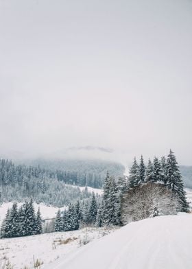 winter hills snowing scene