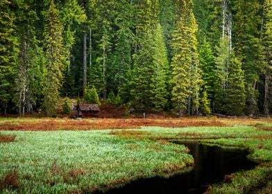 Cabin in the wild