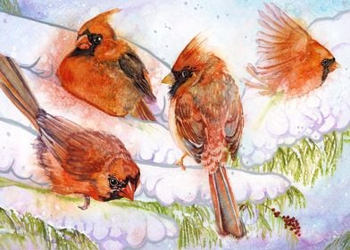 Four Red Cardinals in Snow