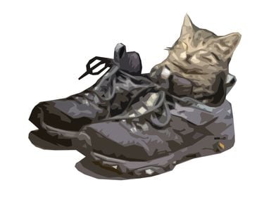 Cat in the Shoe