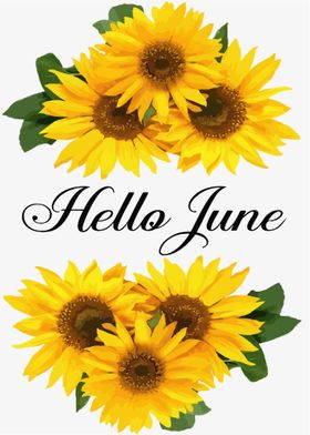 Hello June Sunshine Summer