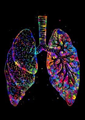 Human Lung Anatomy