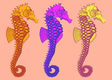 Colorful Seahorses Fish 