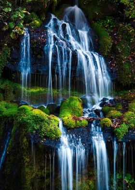 Waterfalls in the Forest