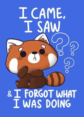 Forgetful Red Panda
