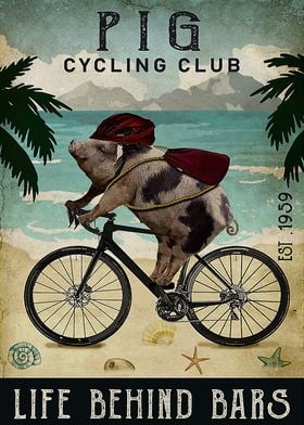 Pig Cycling beach