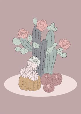 Cactus by Illustrator