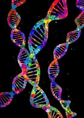 Human DNA 