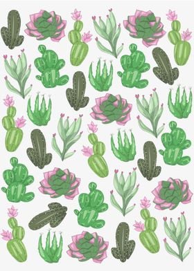 Cactus by Illustrator