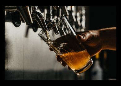 Beer Drinker Drinking