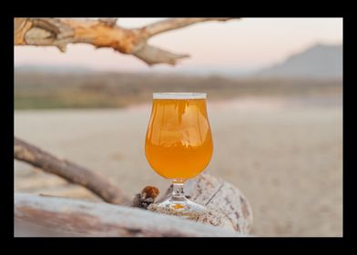 Beer Drinker Drinking