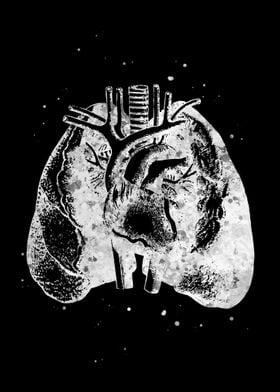 Lung and Heart