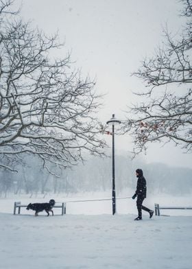 man with dog in the park