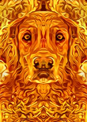 Golden Retriever 3