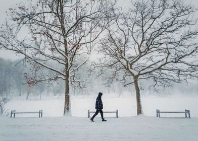 lonely person in the park