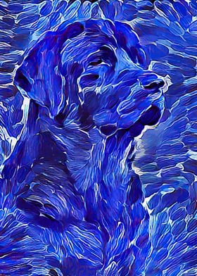 Labrador Strokes