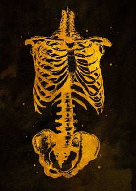 Torso Skeleton Gold