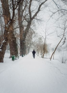 man walks alone snowy park