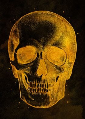 Skull Human Gold