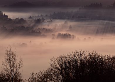 Autumn foggy mountains