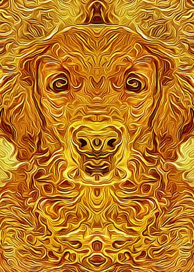 Golden Retriever 6