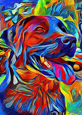 Labrador Colorful