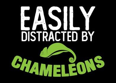 Chameleon Joke Chameleons