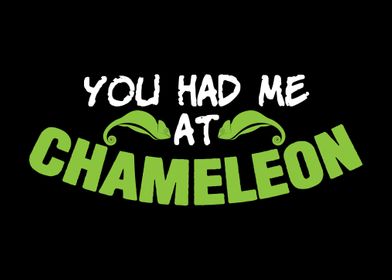 Chameleon Joke Chameleons