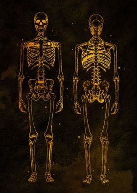 Human Skeleton Gold