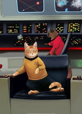 Star Trek Cats-preview-0