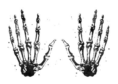 Hand Bones Anatomy