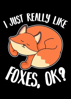 I Just Really Like Foxes