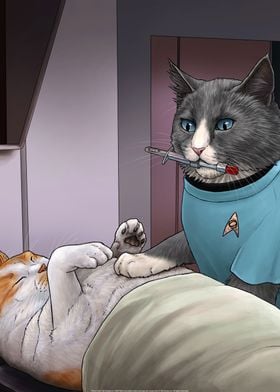 Star Trek Cats-preview-3