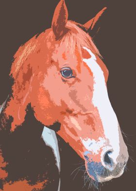 horse