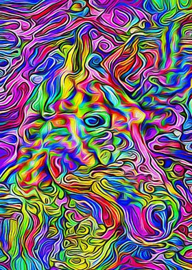 Horse Psychedelic