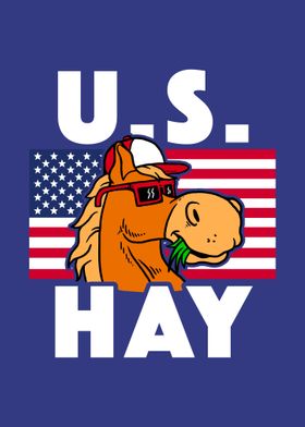 U S Hay