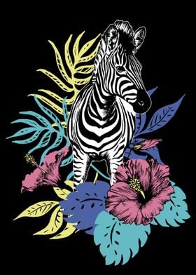 Tropical zebra