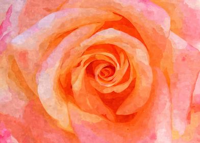 Soft Pink Rose Watercolor