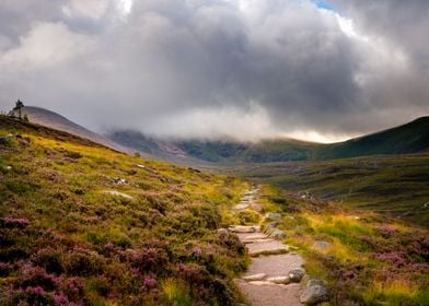 A Path to the Mountains