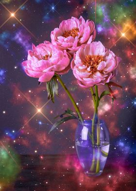Colorful Galaxy Roses