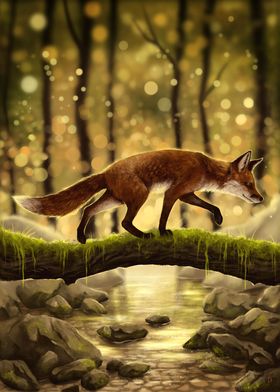 Fox Stroll