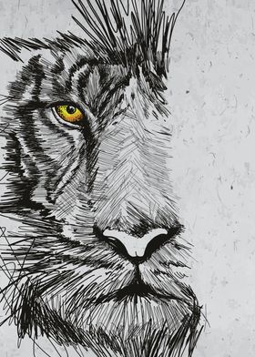 Lion black Sketch Wall Art
