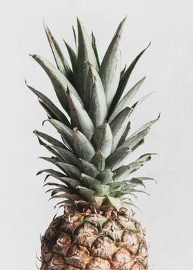 Pineapple Natural