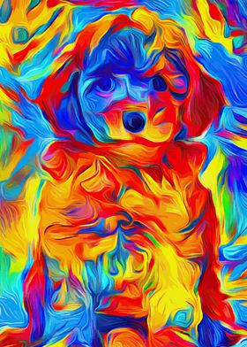 Toy Poodle Colorful 2