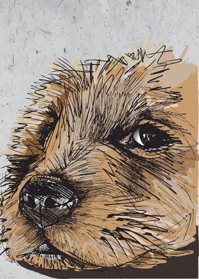 Cute Dog Sketch Brown
