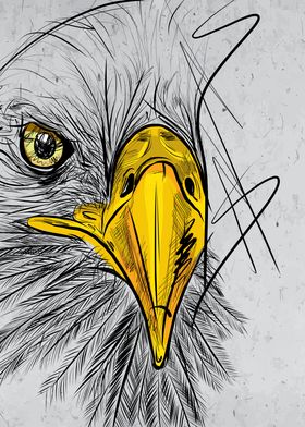 Eagle Sketch Face Wall Art