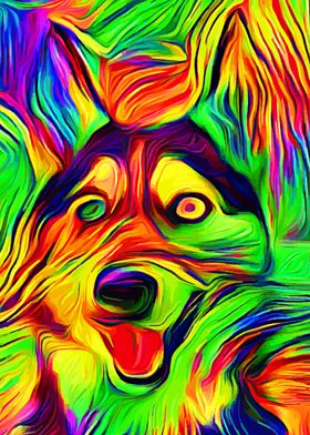 Husky Colorful 3