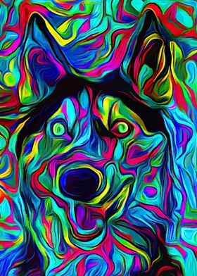 Husky Colorful 2